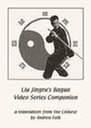 Liu Jingru video translation